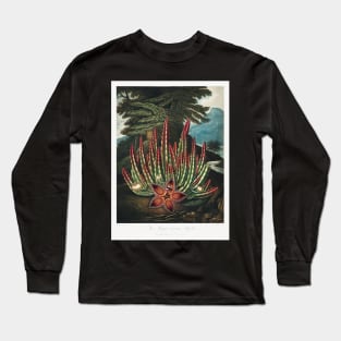 The maggot bearing Stapelia Long Sleeve T-Shirt